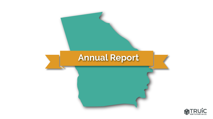 Georgia annual report