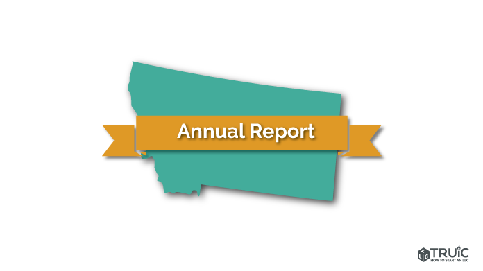 Montana annual report