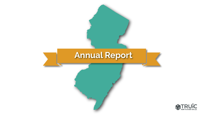 New jersey annual report
