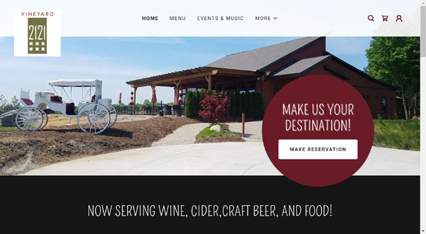 GoDaddy website Example.