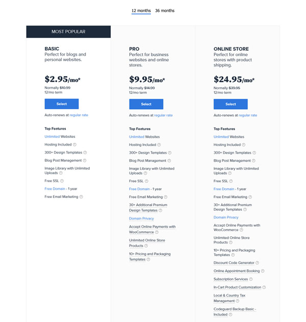 Bluehost website builder.