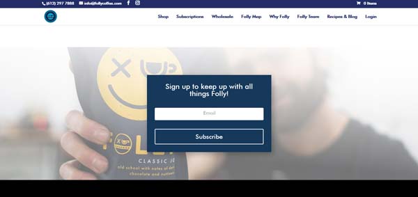 How to Make a Newsletter Sign Up Page.