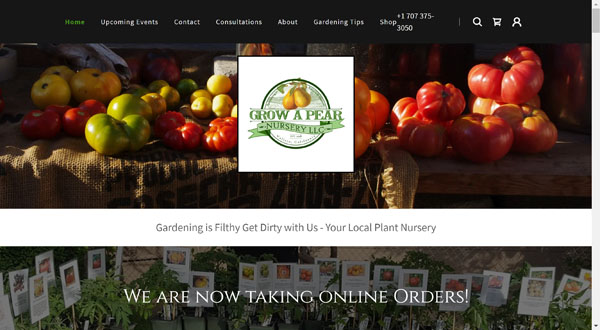 GoDaddy website Example.