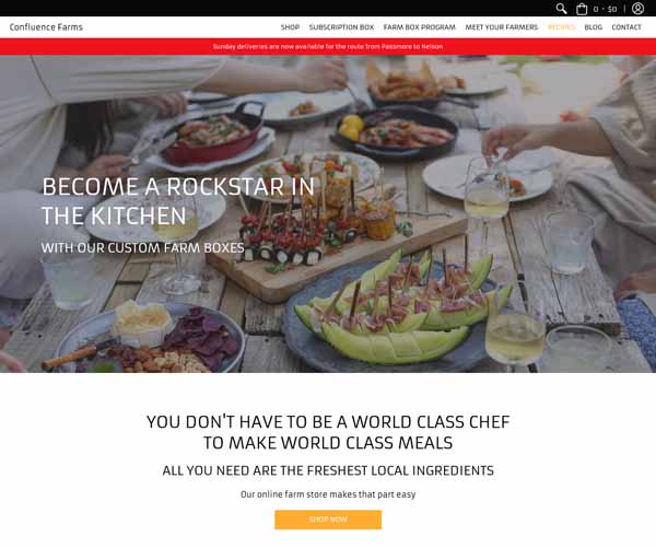 Examples of Shopify websites.