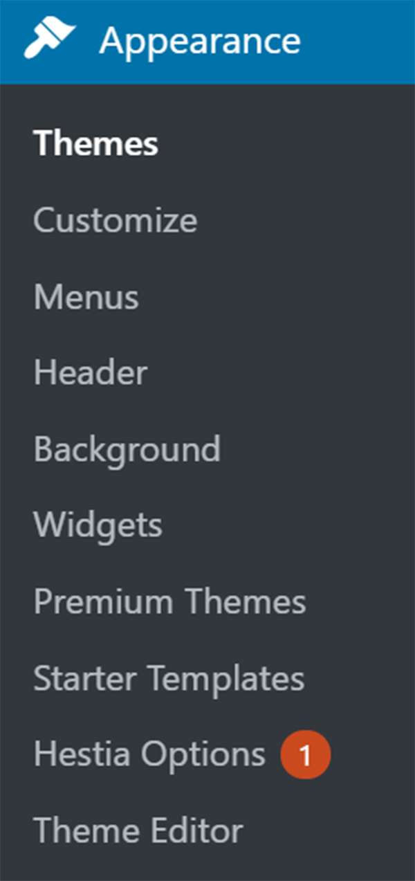 WordPress dashboard Appearance panel with themes.