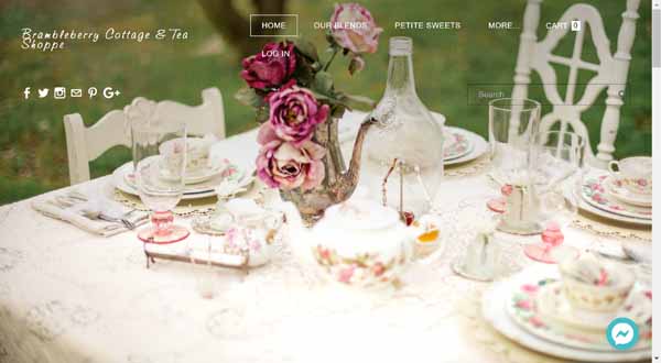 Examples of websites built by Weebly.
