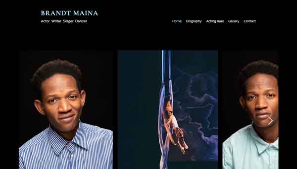 Examples of websites built using Wix.
