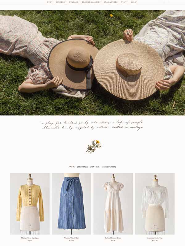 Examples of Shopify websites.