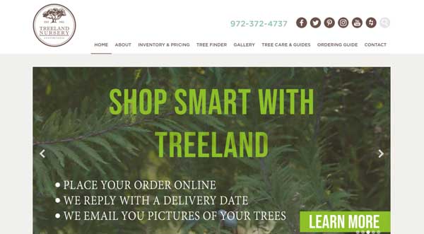Wordpress.com website examples.