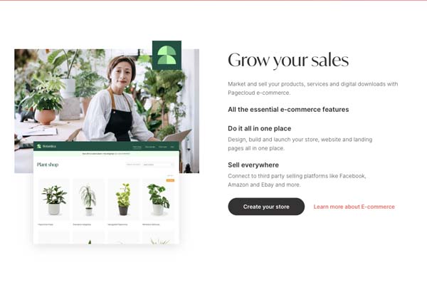 Pagecloud Website Builder Review.
