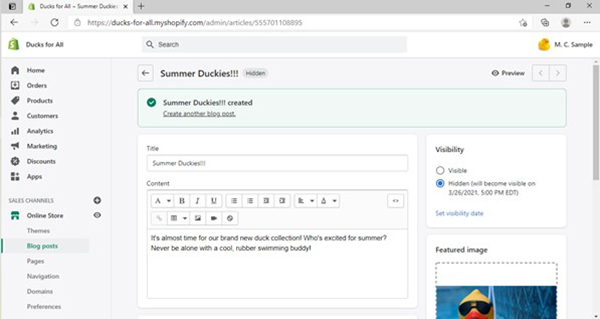 How to make a Shopify website.