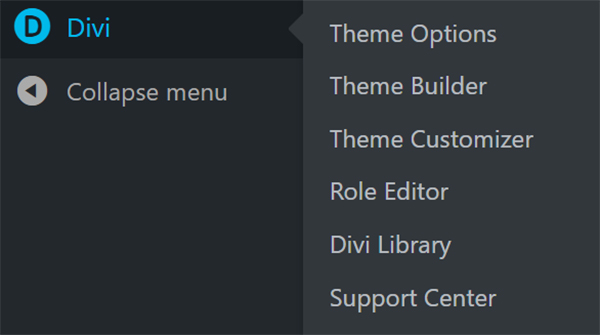 WordPress dashboard Divi panel.