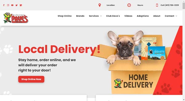 Examples of websites built by Duda.