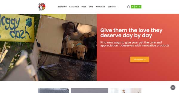 Examples of websites built by Simvoly.