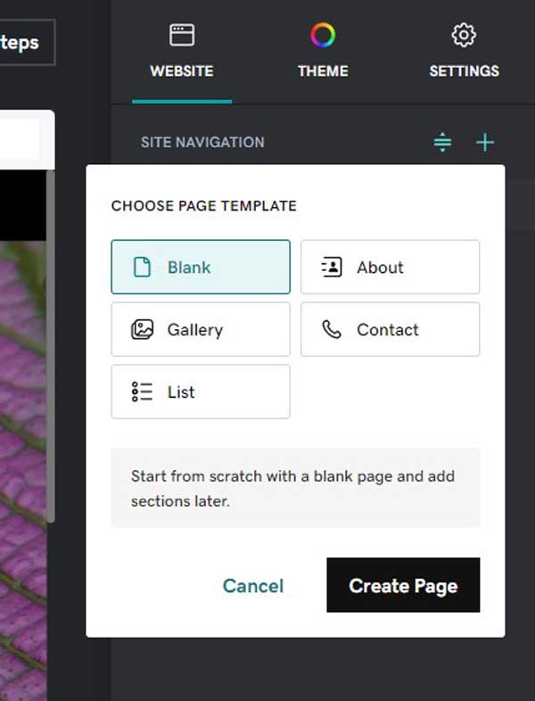 Web design basics.