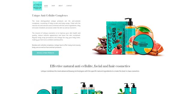 Example of a website built with Zyro.