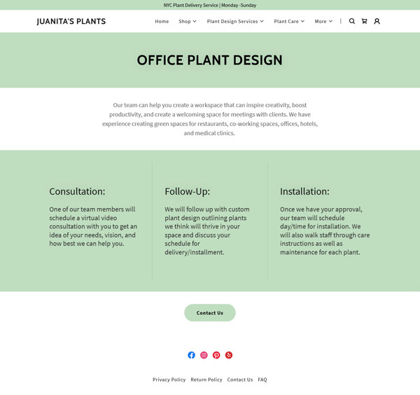 Example of a website for a local service business