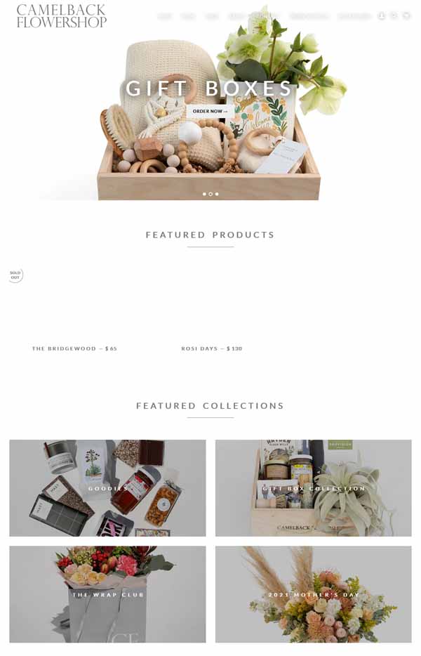 Examples of Shopify websites.