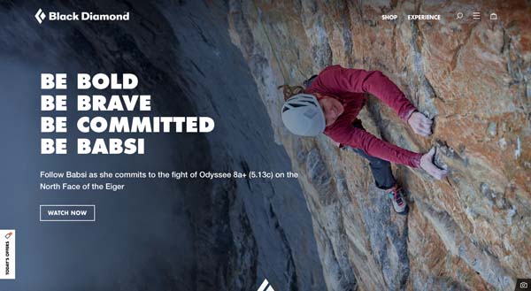 BigCommerce website examples.