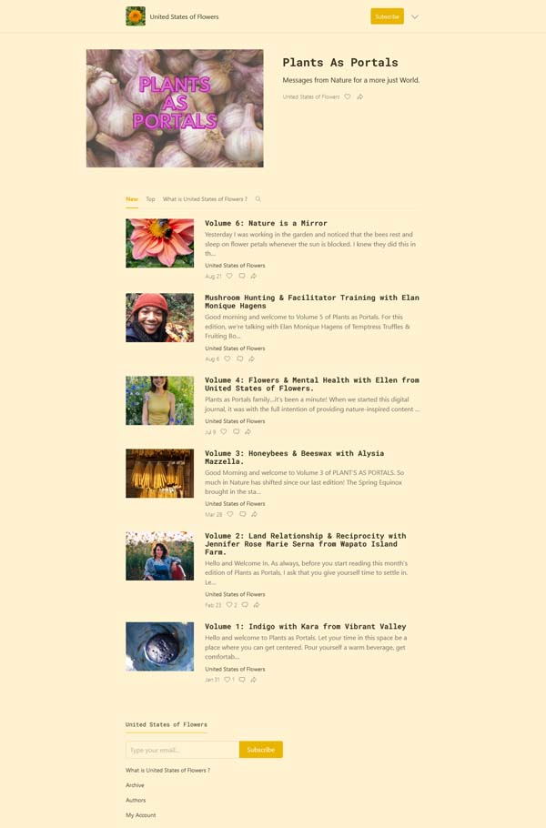 How to Make a Newsletter Sign Up Page.