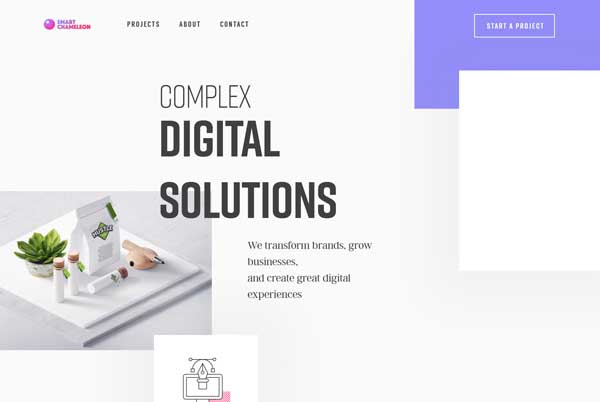 Wordpress.com website examples.
