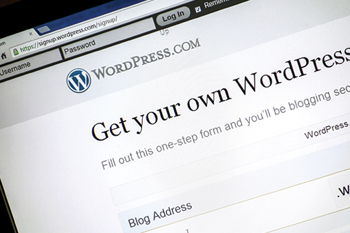 Build wordpress website