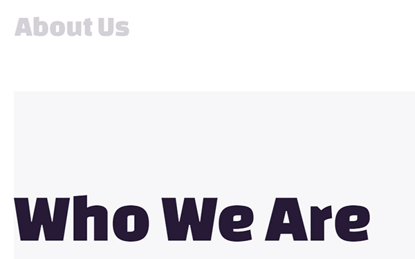 WordPress about us section.