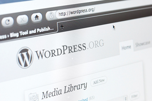 Wordpress best plug ins