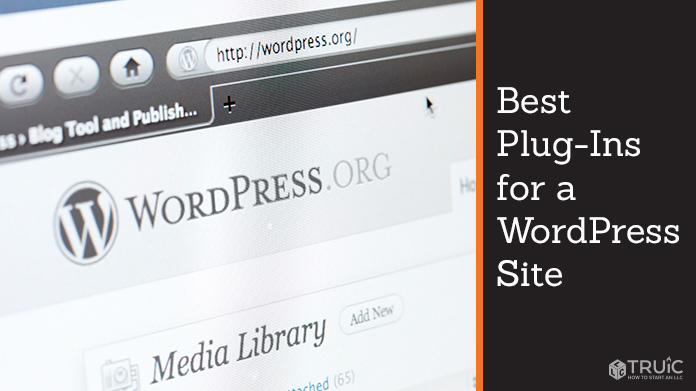 Wordpress best plug ins