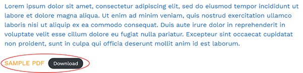 WordPress lorem ipsum text sample with PDF download button.