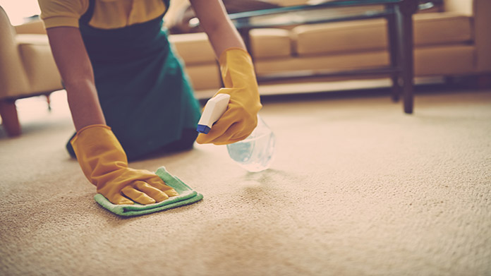 A person deep cleaning carpet