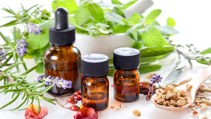 Medicinal herbs business