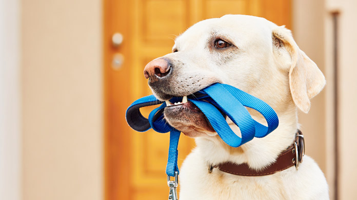 Pet supply store