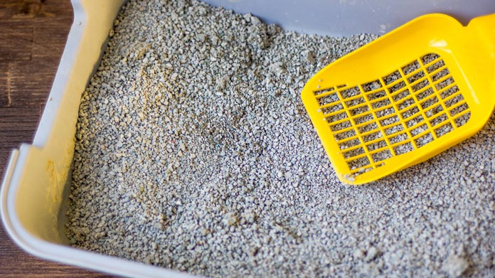 top view of a cat litter box