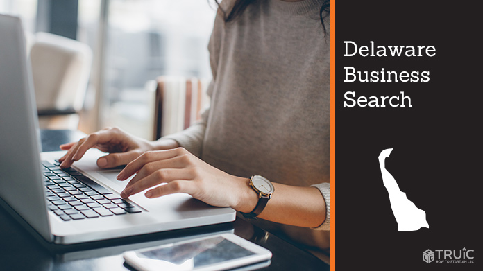 Delaware business search