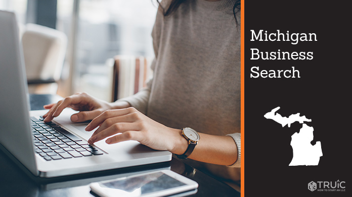 Michigan business search