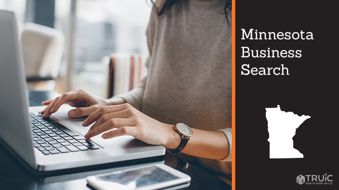 Minnesota business search