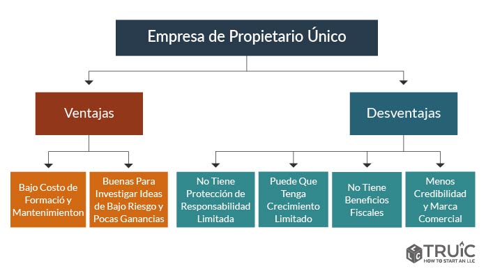 Sole prop advantage disadvantage