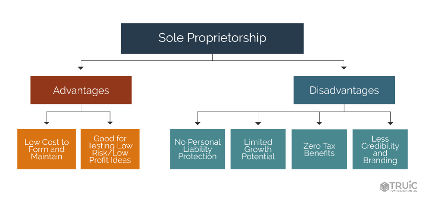Sole prop advantage disadvantage