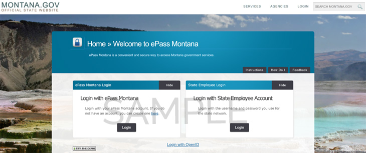Montana change registered agent form