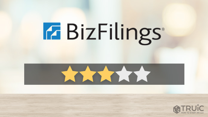 Bizfilings review